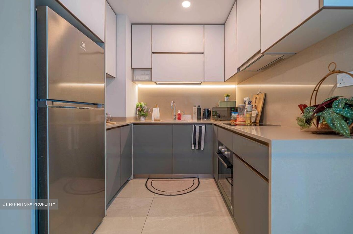 Normanton Park (D5), Apartment #578358661